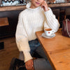 Turtleneck Long Sleeve Women Sweater