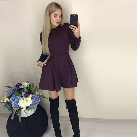 Elegant Mini Winter Dress