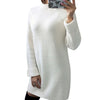Winter Warm Turtleneck Sweater Dress